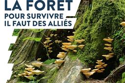 Sous la forêt : pour survivre il faut des alliés.jpg