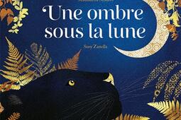 Une ombre sous la Lune.jpg