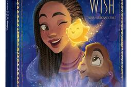 Wish Asha et la bonne etoile_Hachette jeunesseDisney.jpg